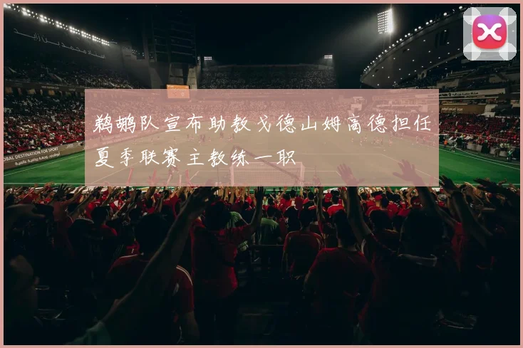 鹈鹕队宣布助教戈德山姆高德担任夏季联赛主教练一职