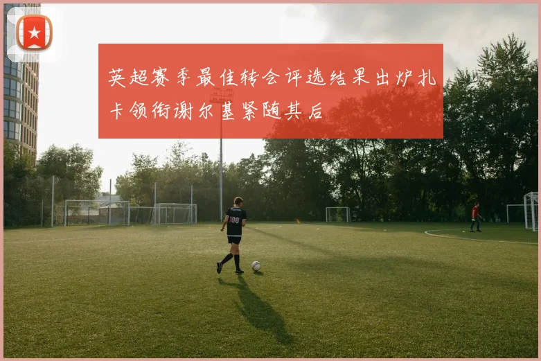 英超赛季最佳转会评选结果出炉扎卡领衔谢尔基紧随其后
